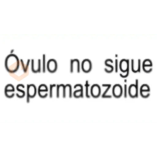 BRAT TEXTOS RANDOM 😒🤣💋 sticker 30
