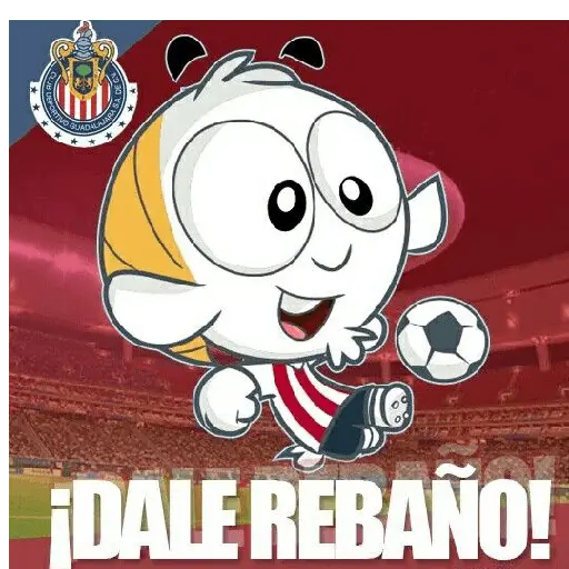 Chivas/chivas de guadalajara⚽