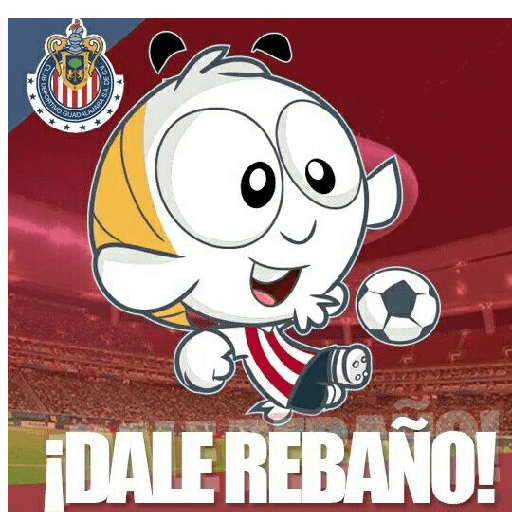 Chivas/chivas de guadalajara⚽ preview