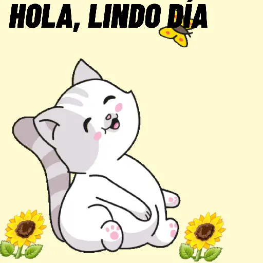 lindo día preview