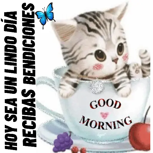 lindo día