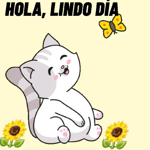 lindo día
