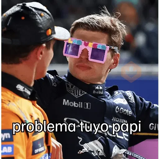 Max Verstappen sticker 22