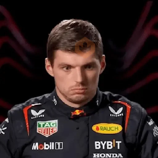Max Verstappen sticker 29