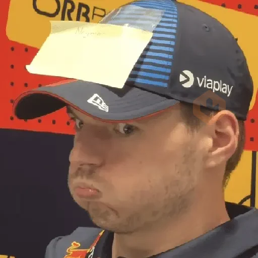 Max Verstappen sticker 11