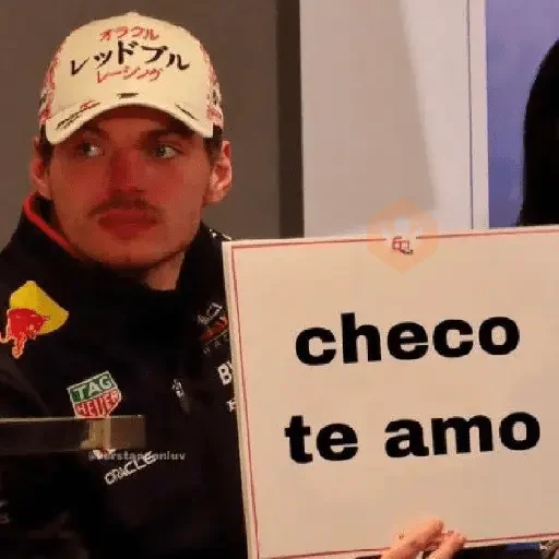 Max Verstappen sticker 12