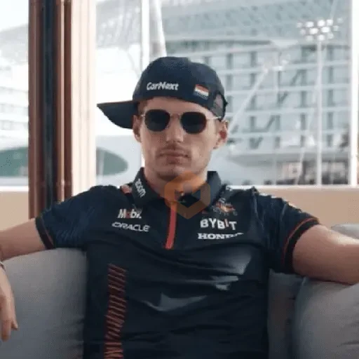 Max Verstappen sticker 17