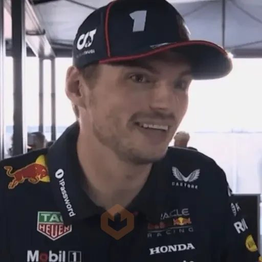 Max Verstappen sticker 19