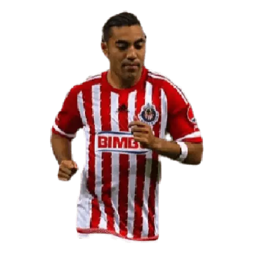 chivas