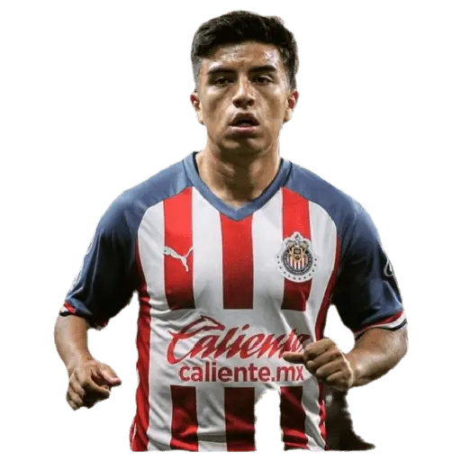 chivas
