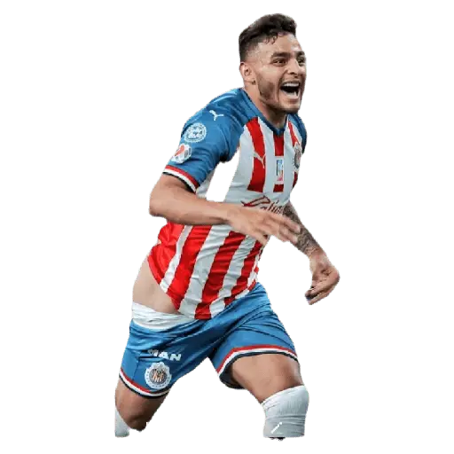 chivas