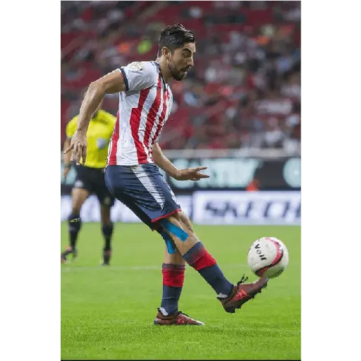 chivas