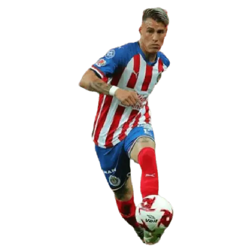 chivas