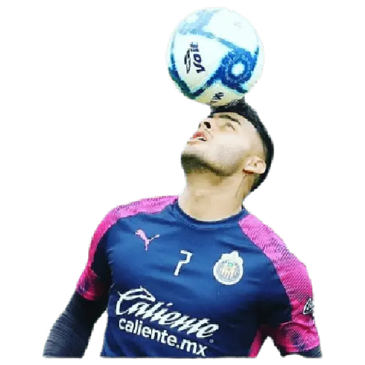 chivas