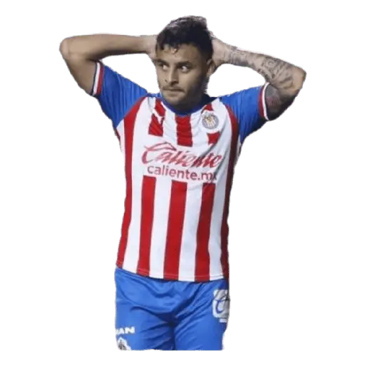 chivas