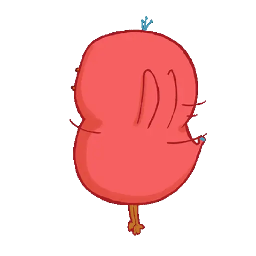chicken