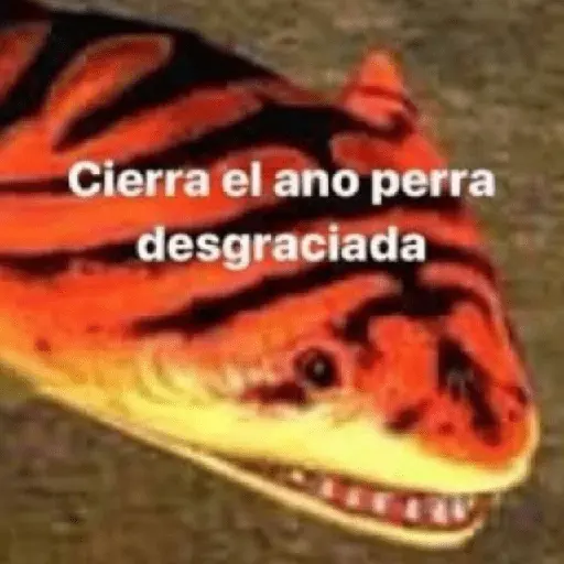 😎 PROBLEMA TUYO PAPI 😎