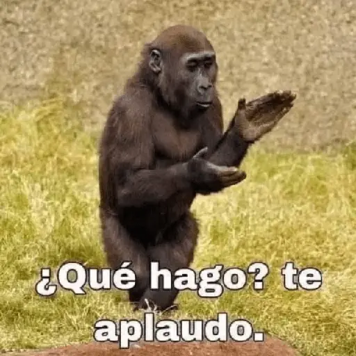 😎 PROBLEMA TUYO PAPI 😎