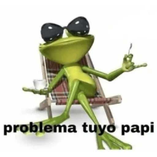 😎 PROBLEMA TUYO PAPI 😎