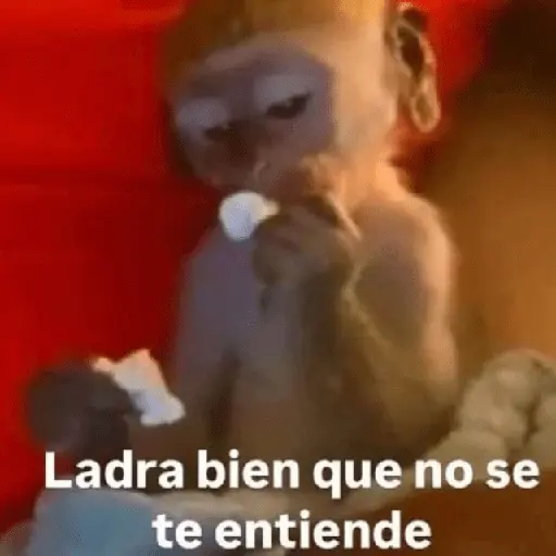 😎 PROBLEMA TUYO PAPI 😎