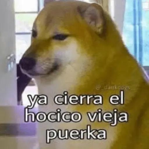 😎 PROBLEMA TUYO PAPI 😎