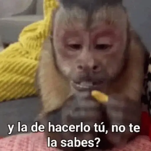 😎 PROBLEMA TUYO PAPI 😎