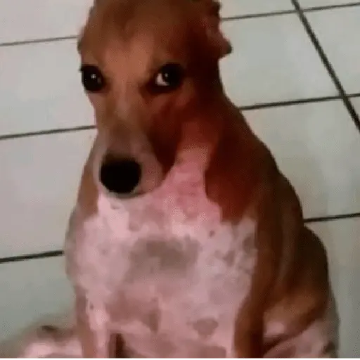 problema tuyo papi
