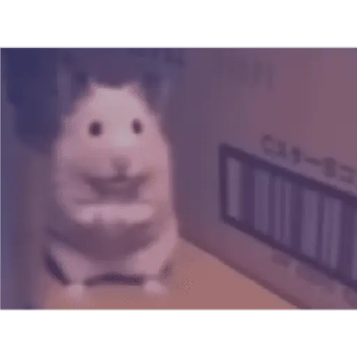 problema tuyo papi