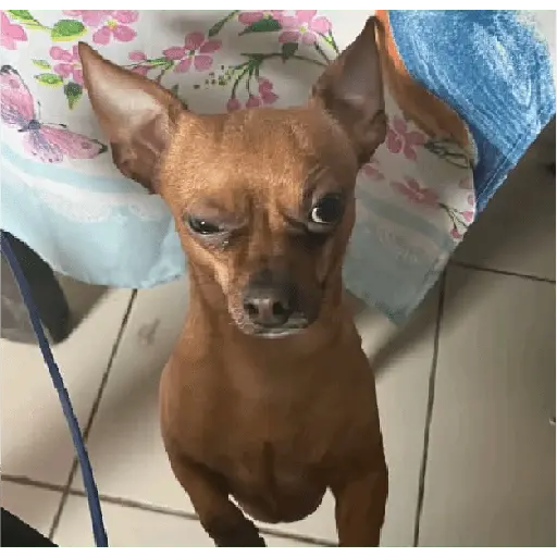 problema tuyo papi