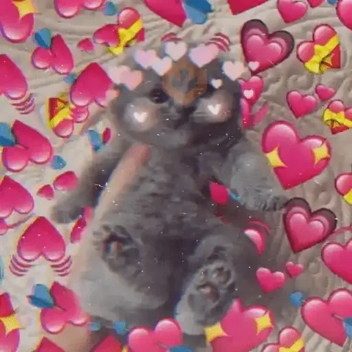 Gatos Amor 2💖💙💛 sticker 11
