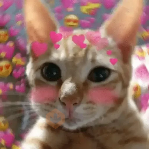 Gatos Amor 2💖💙💛 sticker 29