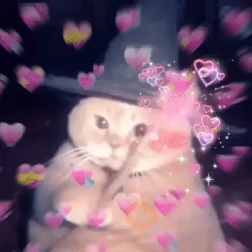 Gatos Amor 2💖💙💛 sticker 12