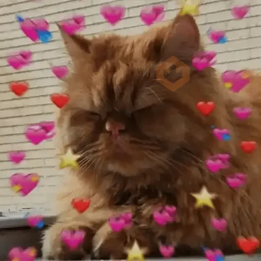 Gatos Amor 2💖💙💛 sticker 24