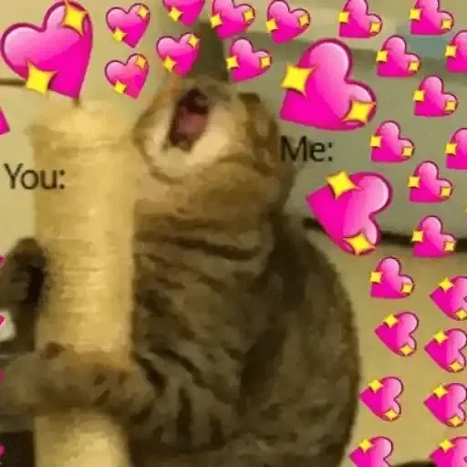 Gatos Amor 2💖💙💛 sticker 16
