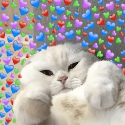Gatos Amor 2💖💙💛 sticker 14
