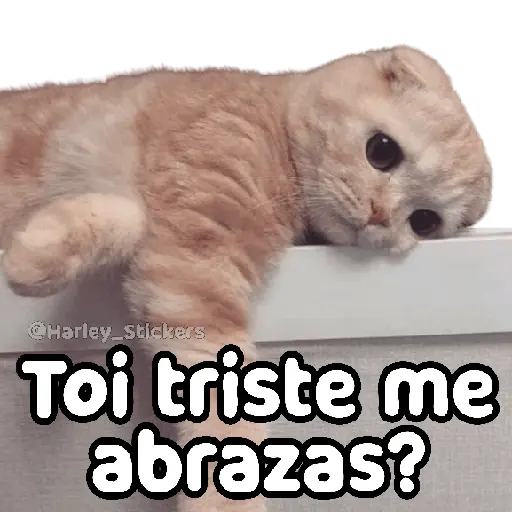 No les pasa que ✨TRISTEZA✨😭