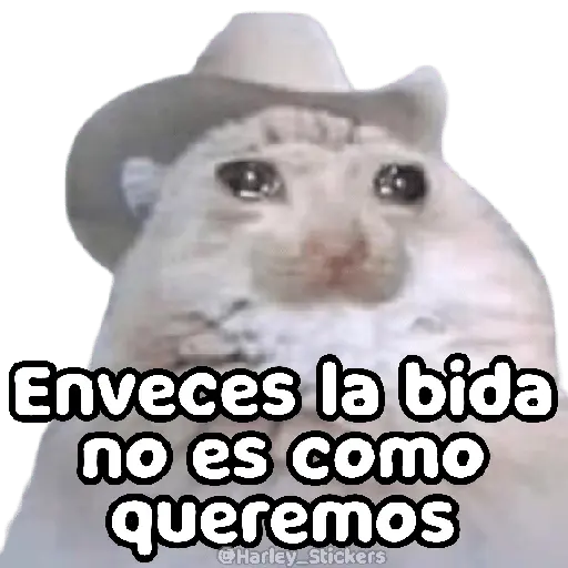 No les pasa que ✨TRISTEZA✨😭