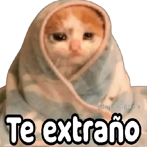 No les pasa que ✨TRISTEZA✨😭
