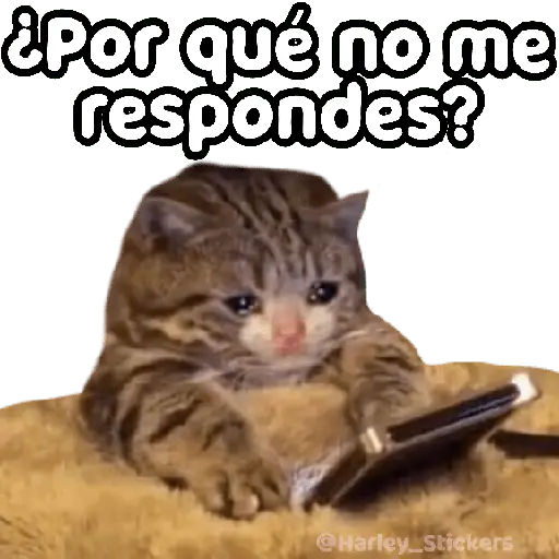 No les pasa que ✨TRISTEZA✨😭