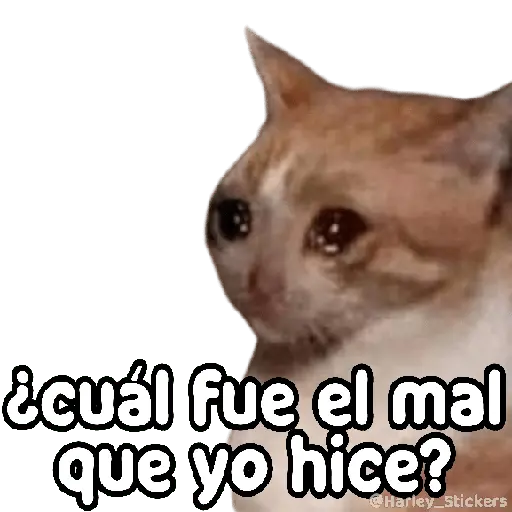 No les pasa que ✨TRISTEZA✨😭