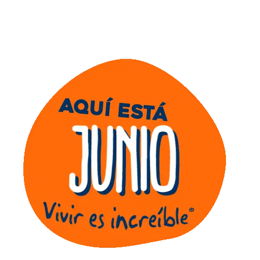 Meses del año 🗓