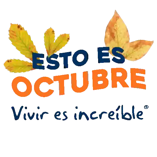 Meses del año 🗓