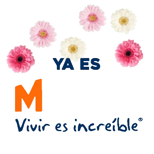 Meses del año 🗓