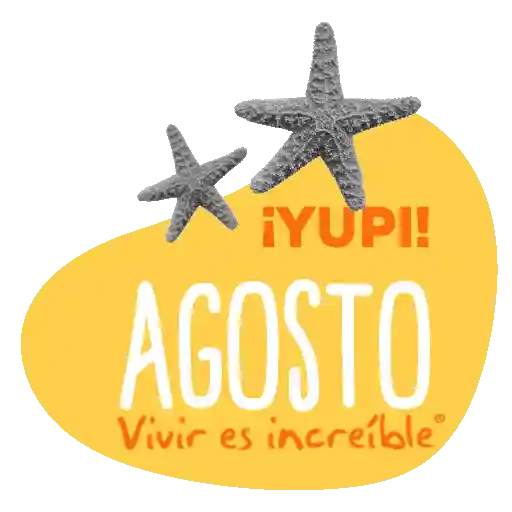 Meses del año 🗓
