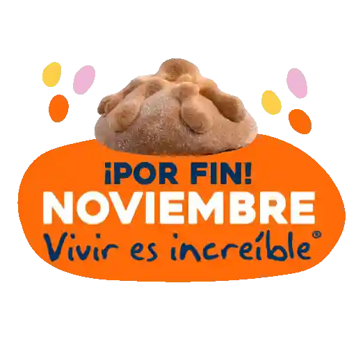 Meses del año 🗓