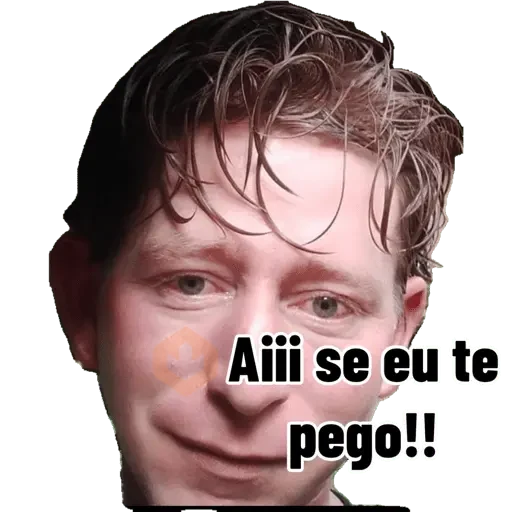 Minhas figurinhas sticker 14
