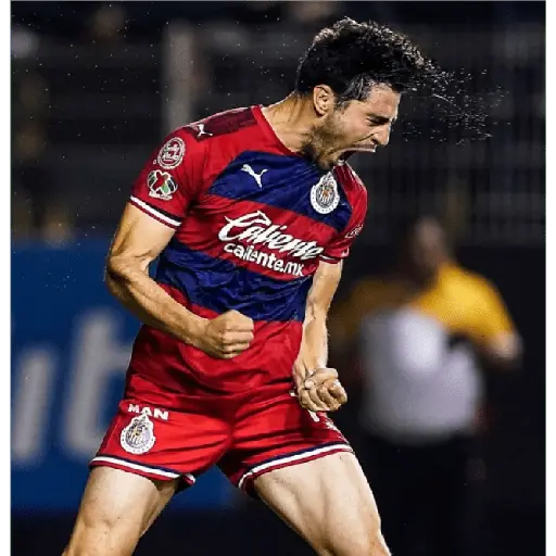 chivas
