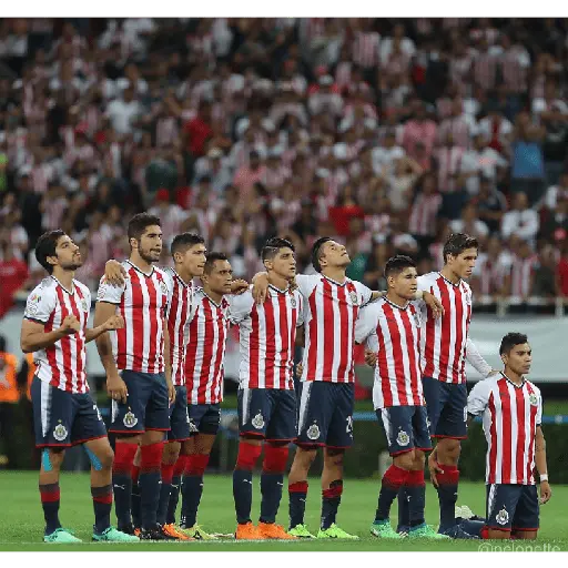 chivas