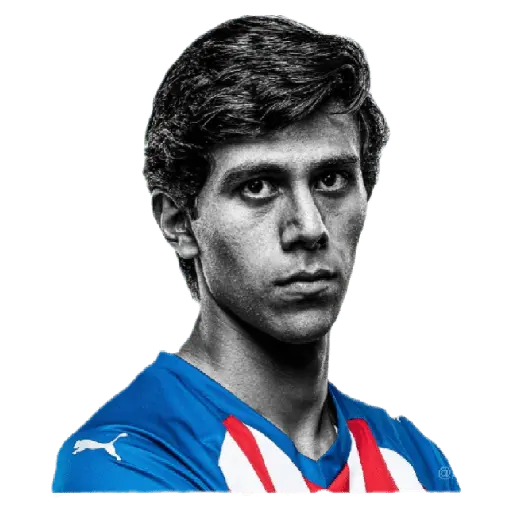 chivas