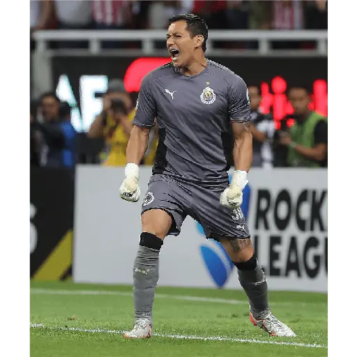 chivas
